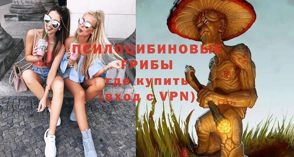 экстази Новодвинск