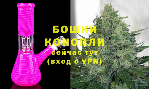 трава Арсеньев