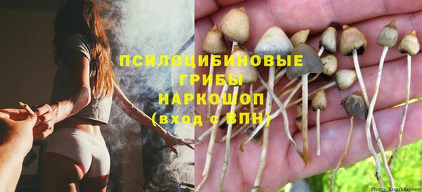 ALPHA PVP Аркадак