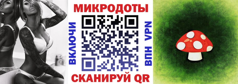 Псилоцибиновые грибы мицелий  Пересвет 
